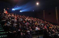 成人国产影院,探寻国产影院的成人世界