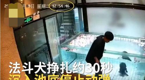 主人调教视频国产